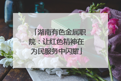 湖南有色金属职院：让红色精神在为民服务中闪耀