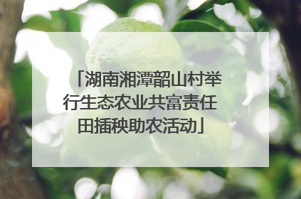 湖南湘潭韶山村举行生态农业共富责任田插秧助农活动