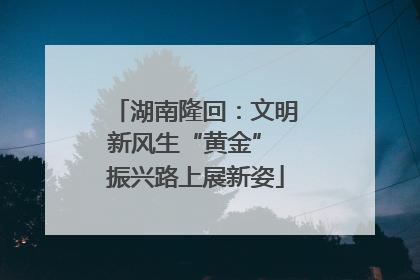 湖南隆回：文明新风生“黄金” 振兴路上展新姿