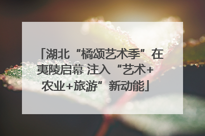 湖北“橘颂艺术季”在夷陵启幕 注入“艺术+农业+旅游”新动能