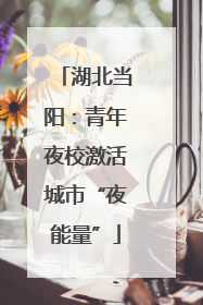 湖北当阳：青年夜校激活城市“夜能量”