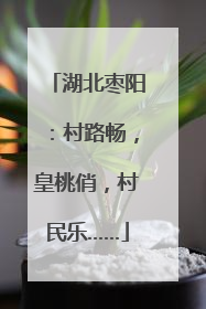 湖北枣阳：村路畅，皇桃俏，村民乐……