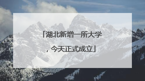 湖北新增一所大学，今天正式成立