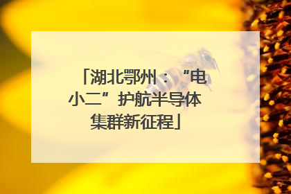 湖北鄂州：“电小二”护航半导体集群新征程