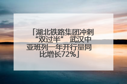 湖北铁路集团冲刺“双过半” 武汉中亚班列一年开行量同比增长72%
