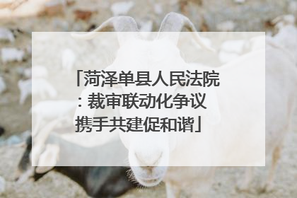 菏泽单县人民法院：裁审联动化争议 携手共建促和谐