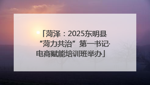 菏泽：2025东明县“菏力共治”第一书记·电商赋能培训班举办