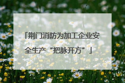 荆门消防为加工企业安全生产“把脉开方”