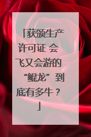 获颁生产许可证 会飞又会游的“鲲龙”到底有多牛？