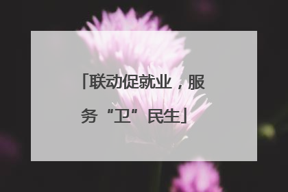 联动促就业，服务“卫”民生
