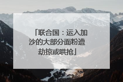 联合国：运入加沙的大部分面粉遭劫掠或哄抢