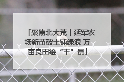 聚焦北大荒丨延军农场新苗破土铺绿浪 万亩良田绘“丰”景
