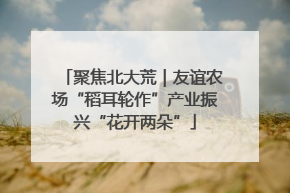 聚焦北大荒｜友谊农场“稻耳轮作”产业振兴“花开两朵”