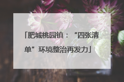 肥城桃园镇：“四张清单”环境整治再发力