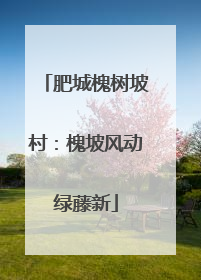 肥城槐树坡村：槐坡风动绿藤新