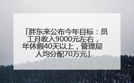 胖东来公布今年目标：员工月收入9000元左右，年休假40天以上，管理层人均分配70万元
