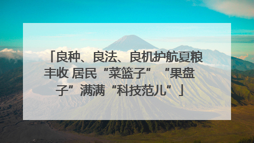 良种、良法、良机护航夏粮丰收 居民“菜篮子”“果盘子”满满“科技范儿”