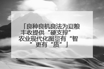 良种良机良法为夏粮丰收提供“硬支撑” 农业现代化图景有“智”更有“质”