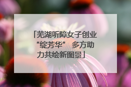 芜湖听障女子创业“绽芳华” 多方助力共绘新图景
