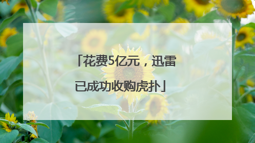 花费5亿元，迅雷已成功收购虎扑