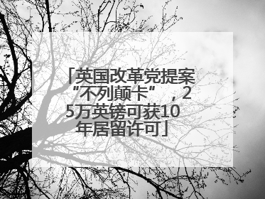 英国改革党提案“不列颠卡”，25万英镑可获10年居留许可