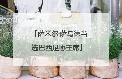 萨米尔·萨乌德当选巴西足协主席