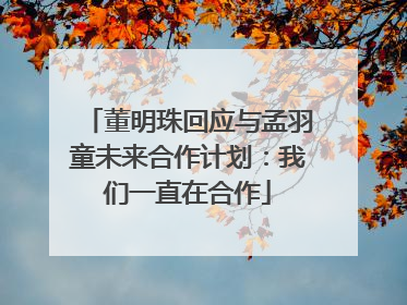 董明珠回应与孟羽童未来合作计划：我们一直在合作