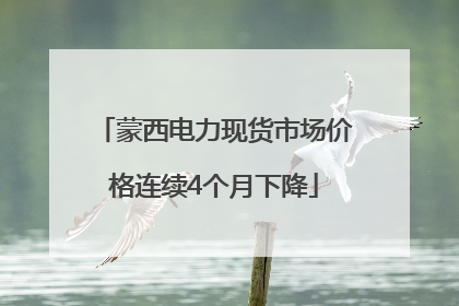 蒙西电力现货市场价格连续4个月下降