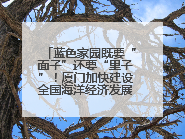 蓝色家园既要“面子”还要“里子”！厦门加快建设全国海洋经济发展示范区