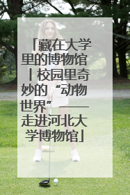 藏在大学里的博物馆丨校园里奇妙的“动物世界”——走进河北大学博物馆