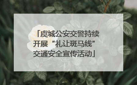 虞城公安交警持续开展“礼让斑马线”交通安全宣传活动