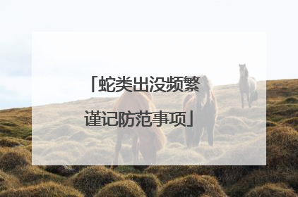 蛇类出没频繁 谨记防范事项