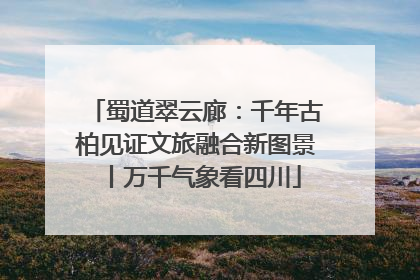 蜀道翠云廊：千年古柏见证文旅融合新图景丨万千气象看四川