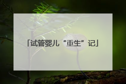 试管婴儿“重生”记