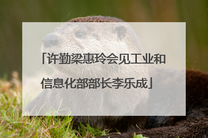 许勤梁惠玲会见工业和信息化部部长李乐成