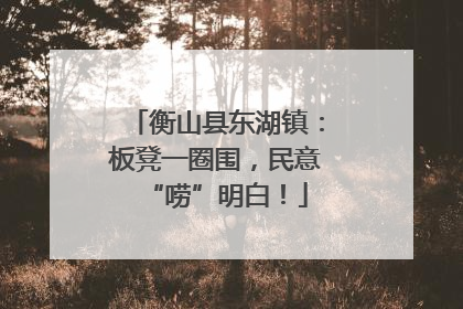 衡山县东湖镇：板凳一圈围，民意“唠”明白！