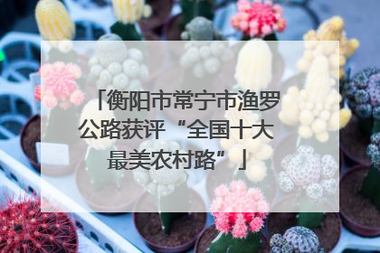 衡阳市常宁市渔罗公路获评“全国十大最美农村路”