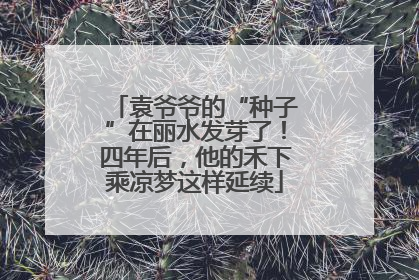 袁爷爷的“种子”在丽水发芽了！四年后，他的禾下乘凉梦这样延续