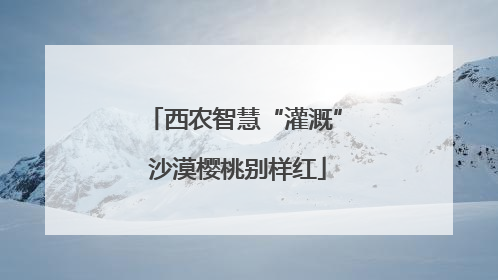 西农智慧“灌溉” 沙漠樱桃别样红