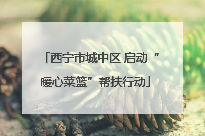 西宁市城中区 启动“暖心菜篮”帮扶行动
