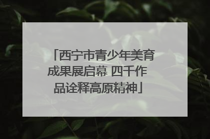 西宁市青少年美育成果展启幕 四千作品诠释高原精神