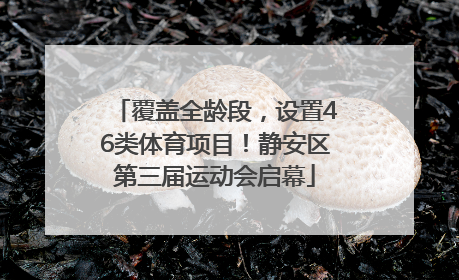 覆盖全龄段，设置46类体育项目！静安区第三届运动会启幕