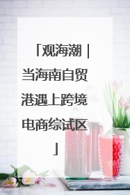 观海潮｜当海南自贸港遇上跨境电商综试区