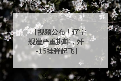 视频公布！辽宁舰遭严重挑衅，歼-15挂弹起飞