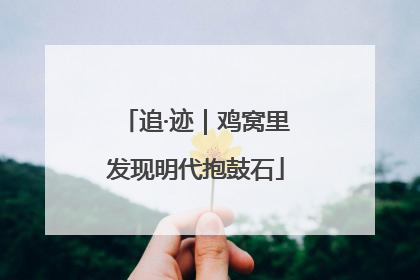 追·迹｜鸡窝里发现明代抱鼓石