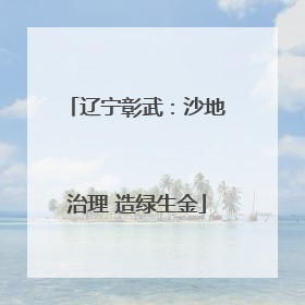 辽宁彰武：沙地治理 造绿生金