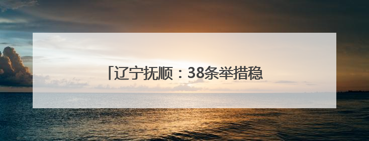 辽宁抚顺：38条举措稳经济、促振兴、勇争先