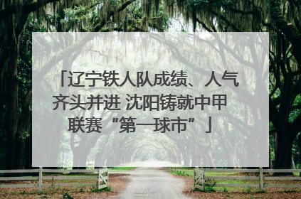 辽宁铁人队成绩、人气齐头并进 沈阳铸就中甲联赛“第一球市”