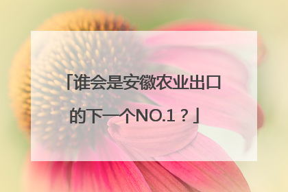 谁会是安徽农业出口的下一个NO.1？