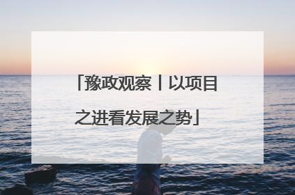 豫政观察丨以项目之进看发展之势